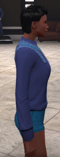 Frilled shirt, dark blue, side.png