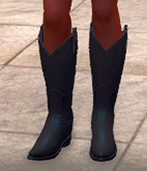 Western boots, black, front.png