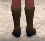 High winter boots, brown, back.png