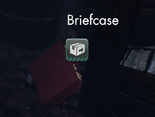 TBFBriefcase.jpg