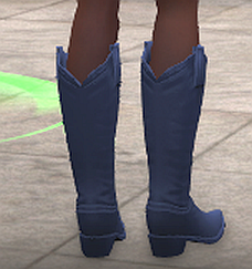 Western boots, light blue, back.png