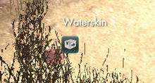 CotSGWaterskin.jpg