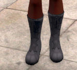 High winter boots, grey, front.png