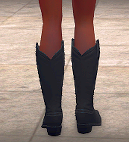 Western boots, black, back.png