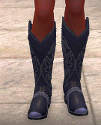 Western boots, dark blue, front.png