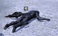 KingsmouthDeadDraug.jpg