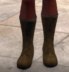 High winter boots, brown, front.png