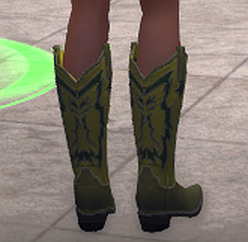 Western boots, green, back.png