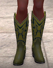 Western boots, green, front.png