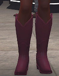 Western boots, light purple, front.png