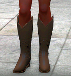 Western boots, brown, front.png