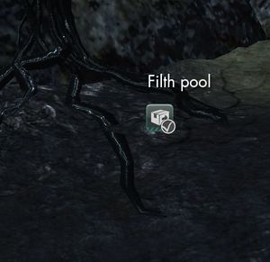 Filth pool.jpg