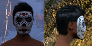 Calavera mask, female.png