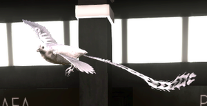 Snowy Quetzal, flying.png